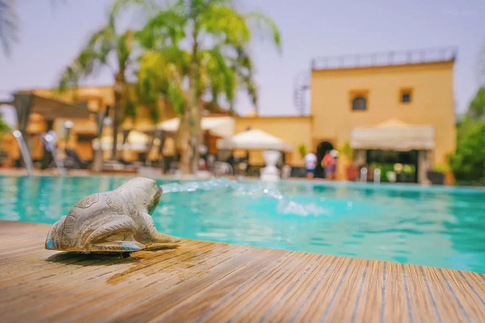 Piscine les deux palmiers chambres