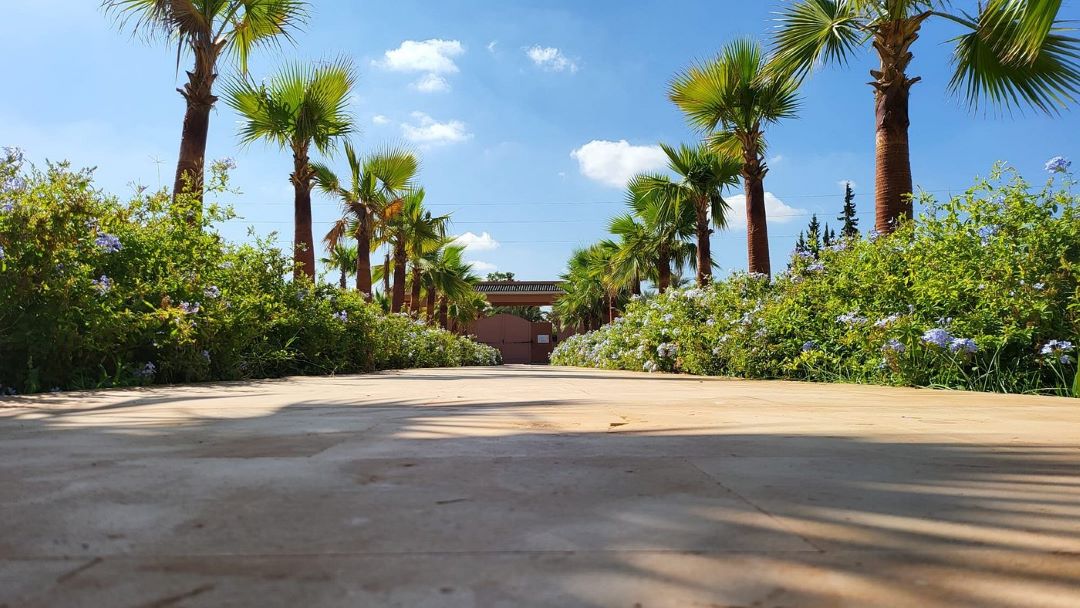 Jardin Les Deux Sœurs (20)