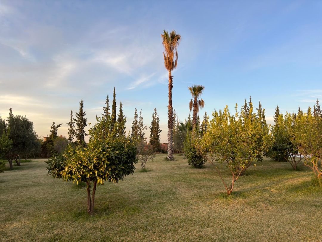 Villa Anouar Marrakech (1)