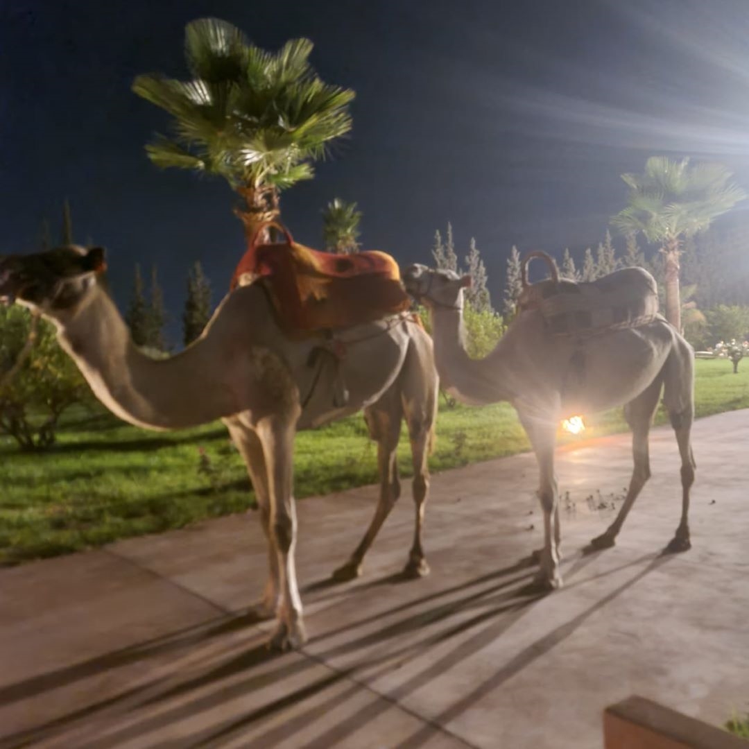 Villa Anouar Marrakech (25)
