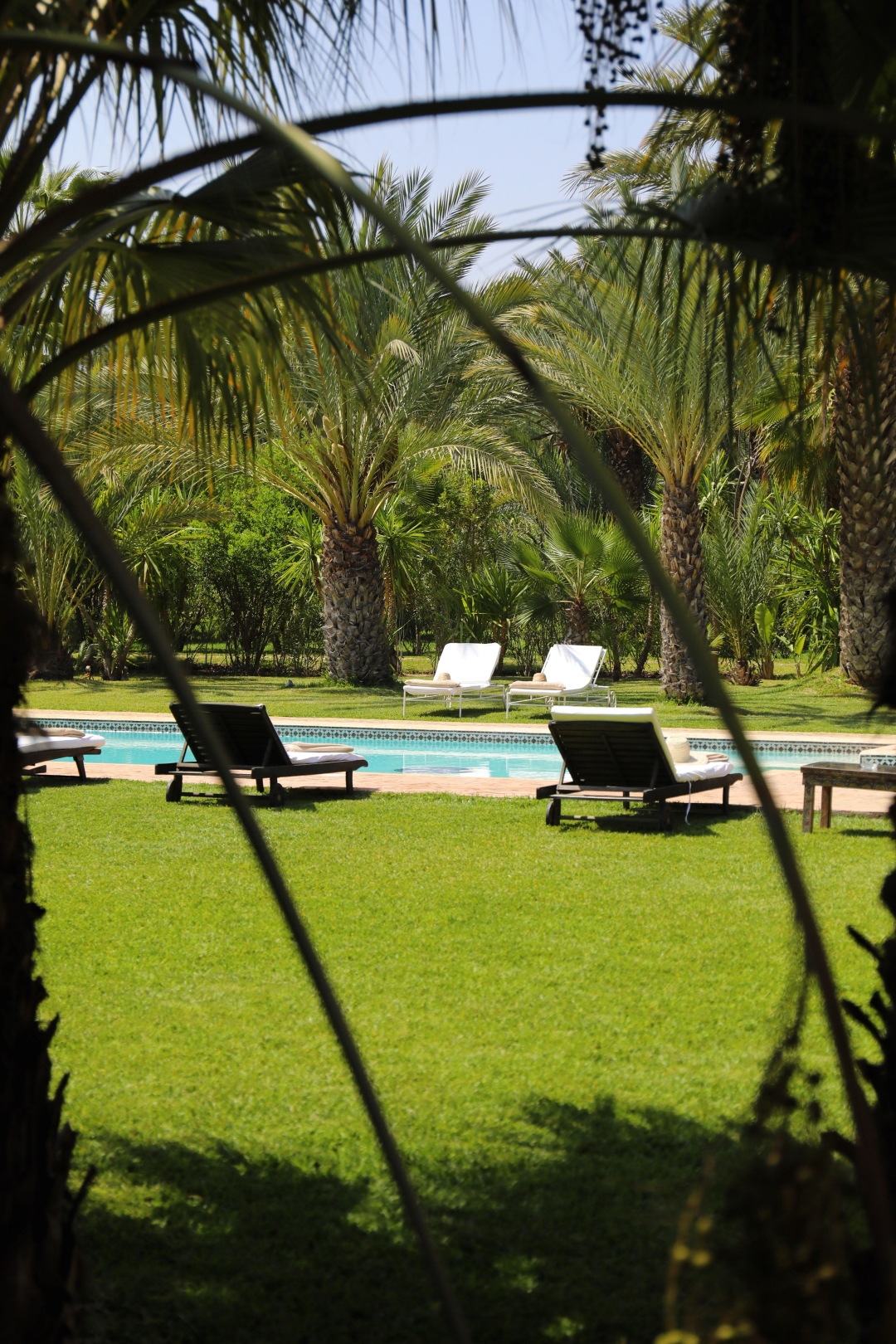 3W7A9546