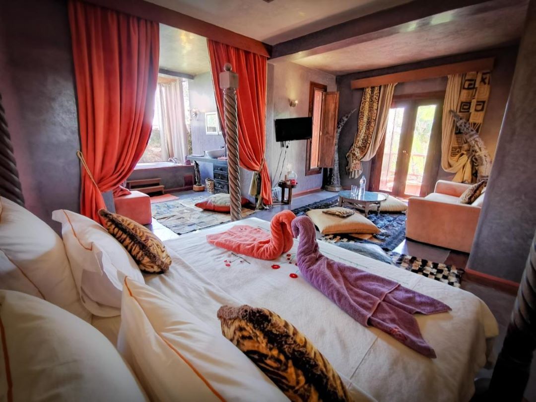SUITE